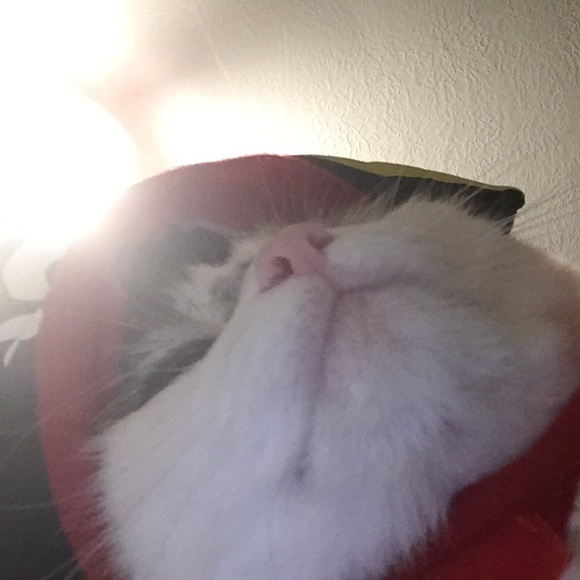 Meet your Posher, Carl - Picture 1 of 1